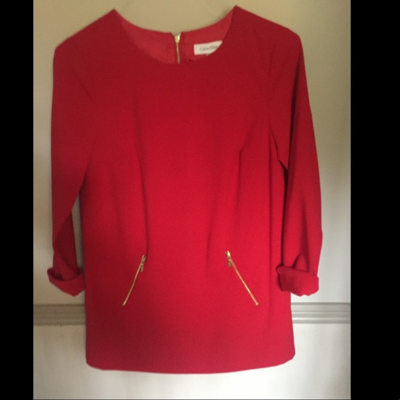 Calvin Klein Dresses & Skirts - Calvin Klein Red Long Sleeve Shift Dress/Tunic
